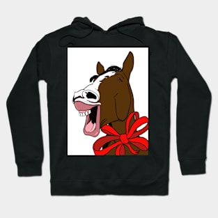 Don’t look a gift horse in the mouth Hoodie